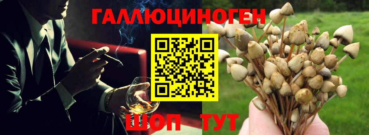 Вичуга  Псилоцибиновые грибы прущие грибы  Вход с VPN 